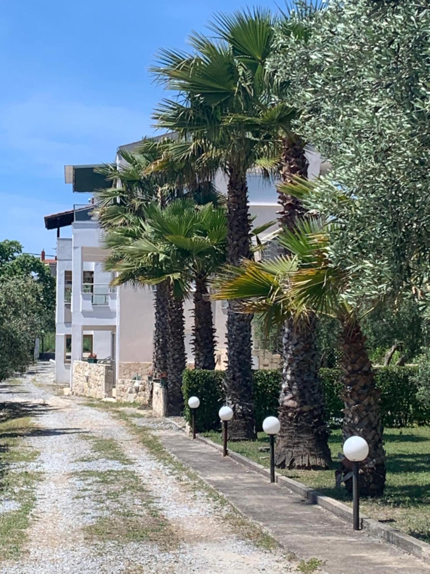 Villa Evita , Penthouse, 53M2 ,Athytos 450M From The Beach Афитос Екстериор снимка